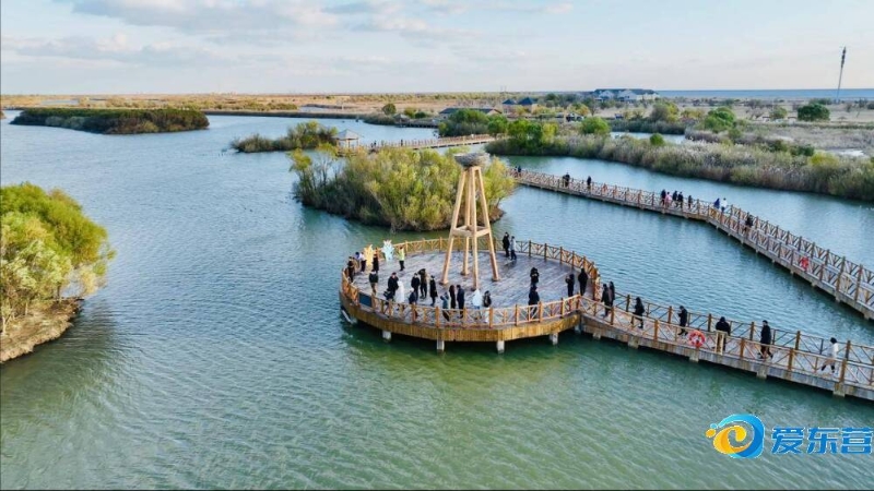 意甲卡利亚 意甲卡利亚