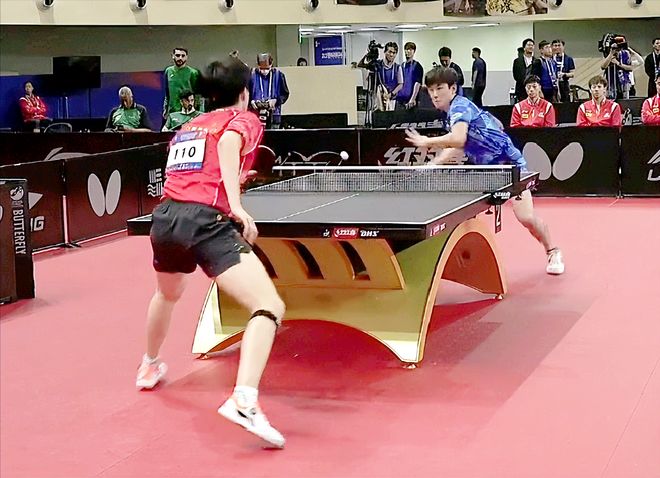 仅提高了观 仅提高了观